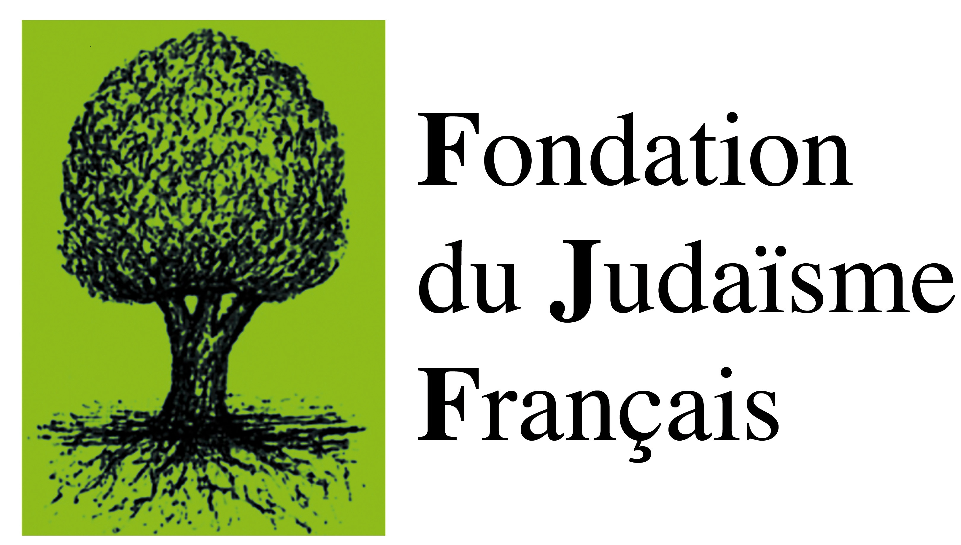 Logo_FJF_2011 redimensionné